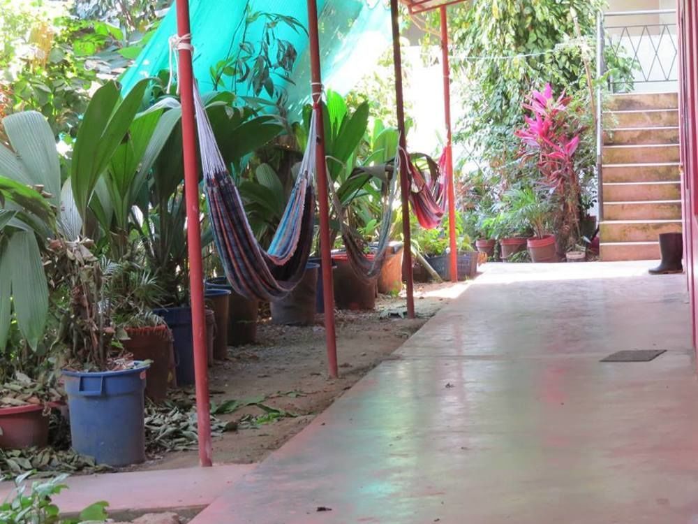 Tambopata Hostel Bambu Puerto Maldonado Ngoại thất bức ảnh