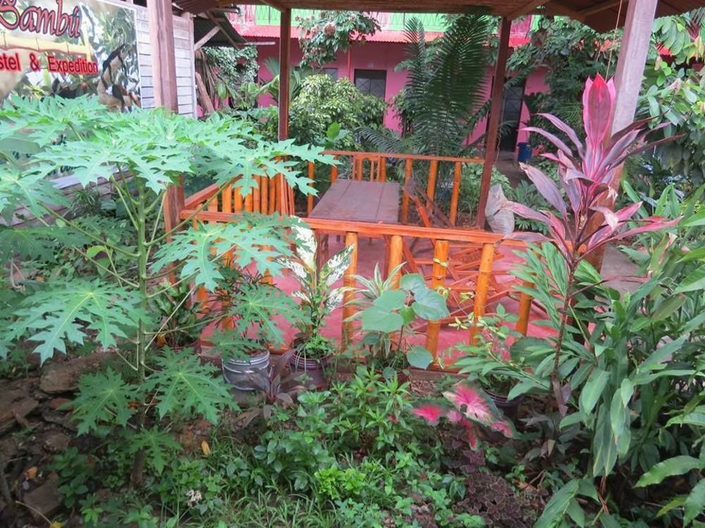 Tambopata Hostel Bambu Puerto Maldonado Ngoại thất bức ảnh