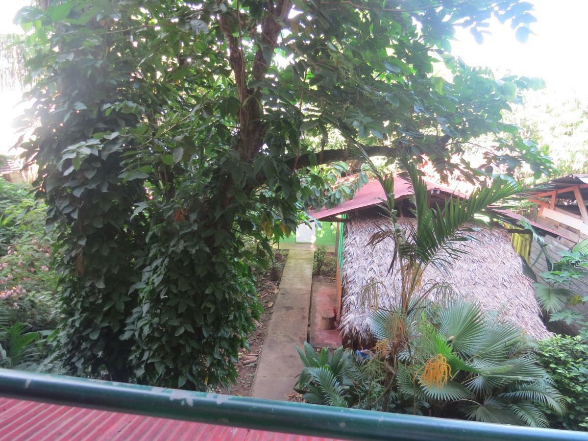 Tambopata Hostel Bambu Puerto Maldonado Ngoại thất bức ảnh