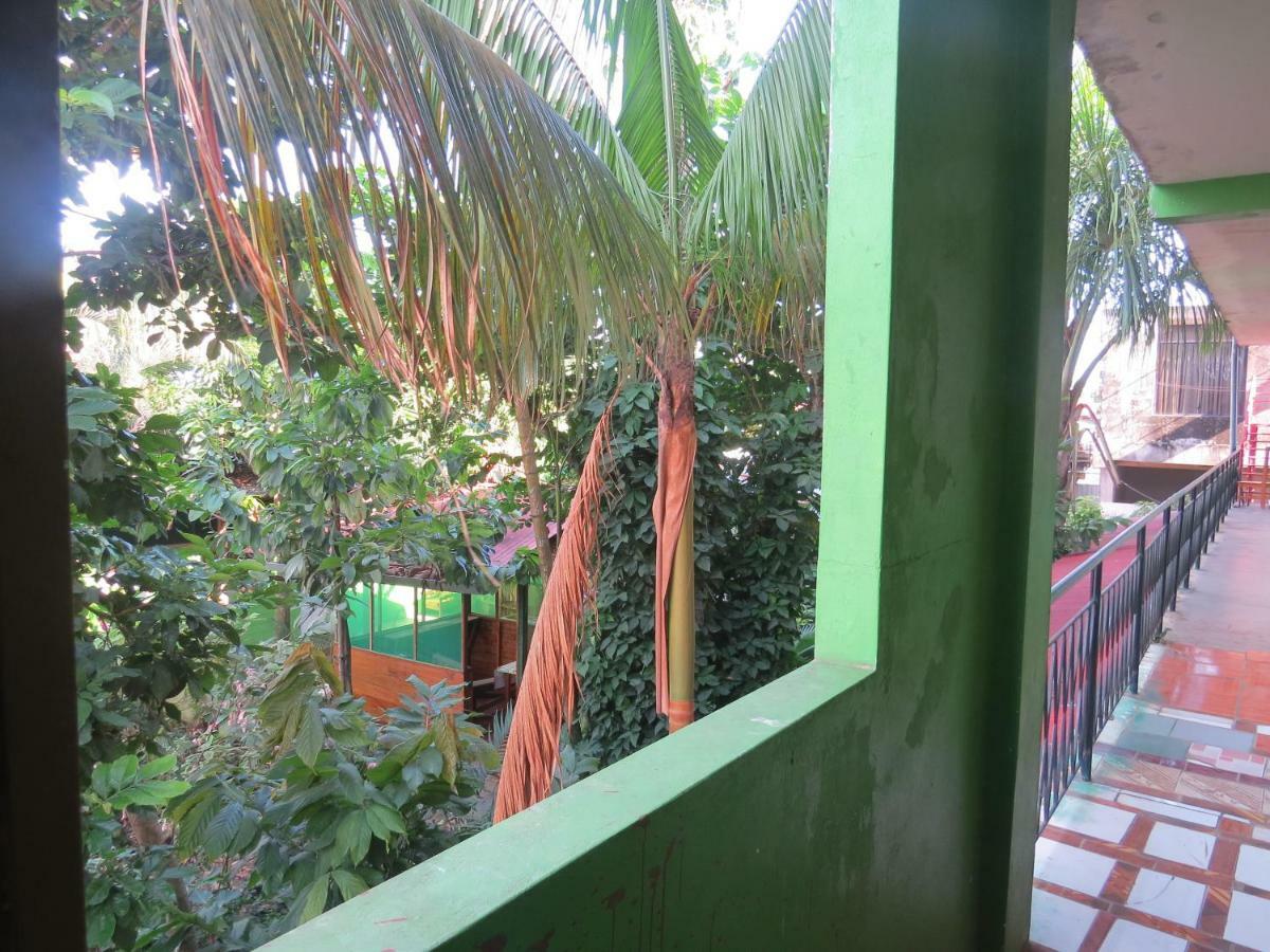 Tambopata Hostel Bambu Puerto Maldonado Ngoại thất bức ảnh